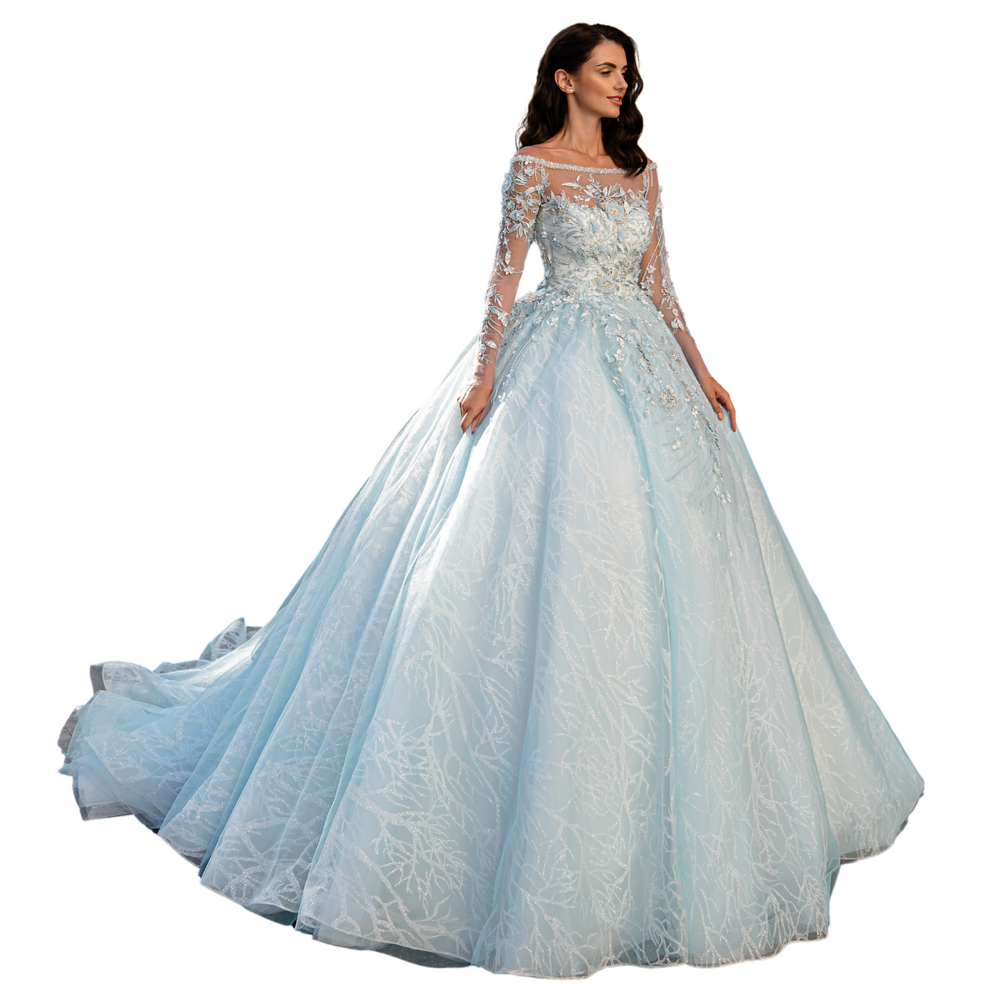 Quinceañera Dress Light Blue Long Sleeve Ball Gown, Floral Beaded Sweet 15 Dress, Puffy Princess Gown for Prom or Special Events