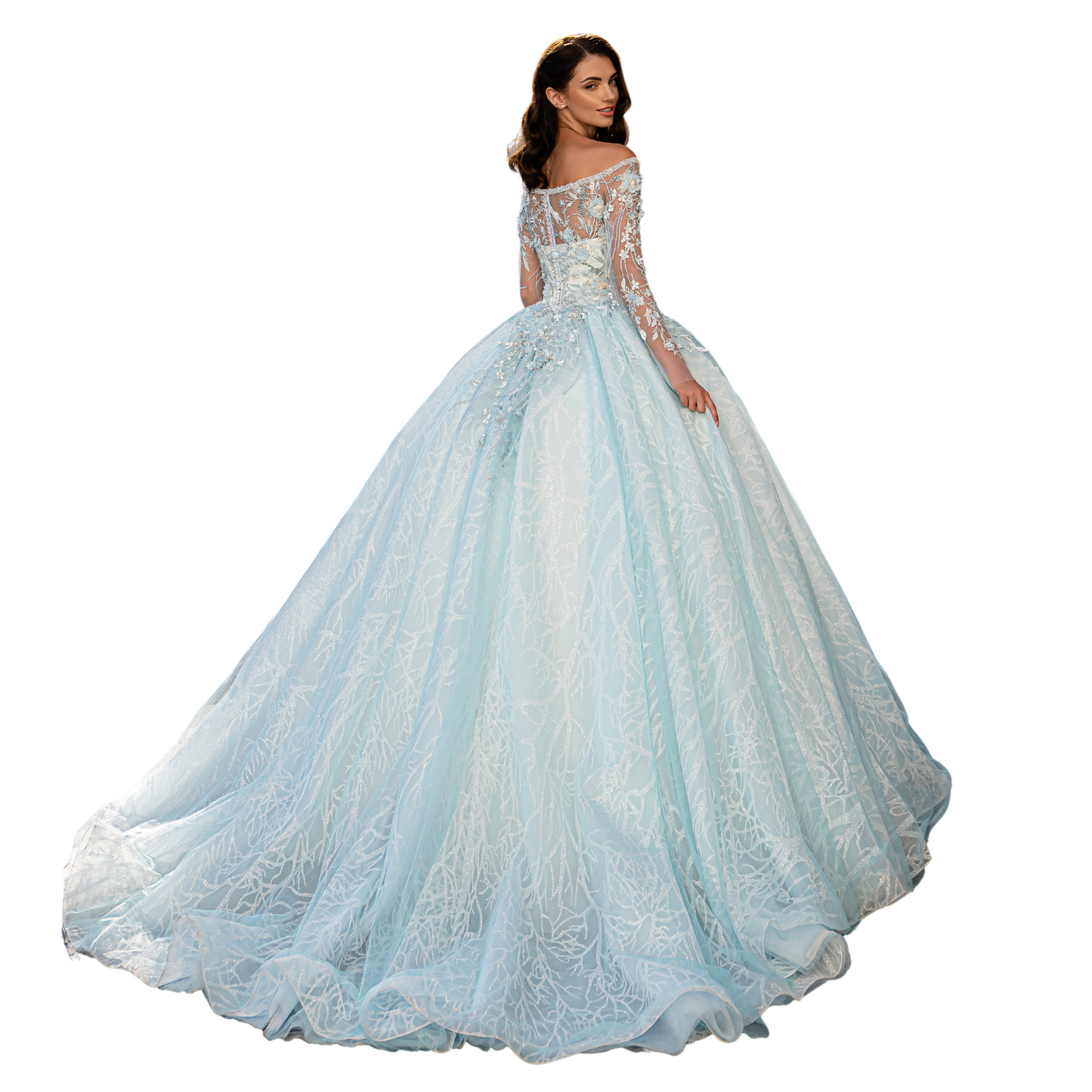 Quinceañera Dress Light Blue Long Sleeve Ball Gown, Floral Beaded Sweet 15 Dress, Puffy Princess Gown for Prom or Special Events