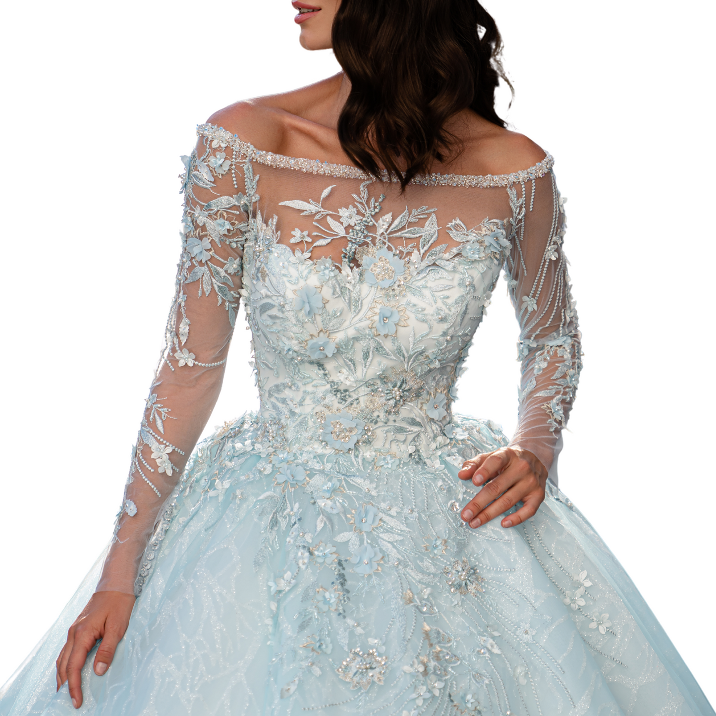 Quinceañera Dress Light Blue Long Sleeve Ball Gown, Floral Beaded Sweet 15 Dress, Puffy Princess Gown for Prom or Special Events